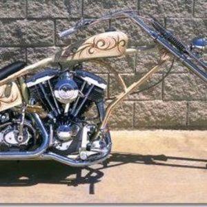 Meet your Posher, Tony